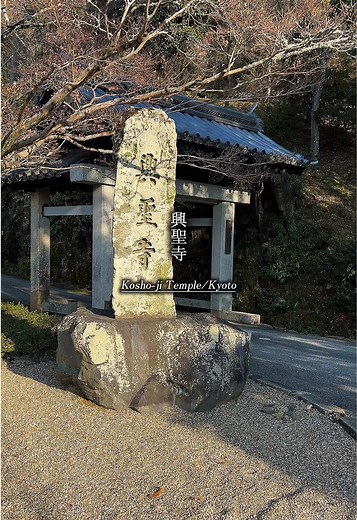 京都・興聖寺(宇治) 宇治川近くに佇む、静寂に包まれた禅寺。 琴坂と呼ばれる参道や、美しい石庭が心を落ち着かせてくれます。 人も比較的少なく、ゆっくり過ごしたい宇治散策におすすめ。 🕰拝観時間：9:00〜17:00 💰拝観料：500円 #kyoto #京都観光 #宇治 #興聖寺 #japan