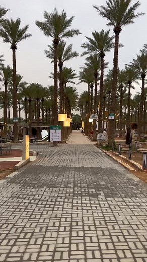 Discover The Beauty of Al-Qassim in Buraydah