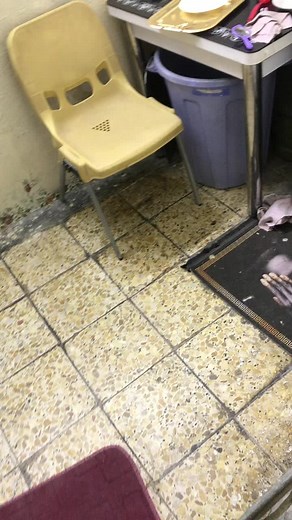 Kitchen Fire Safety Tips and Tricks