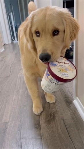 772K views · 20K reactions | Finders keepers… | Comet Olsen | Facebook