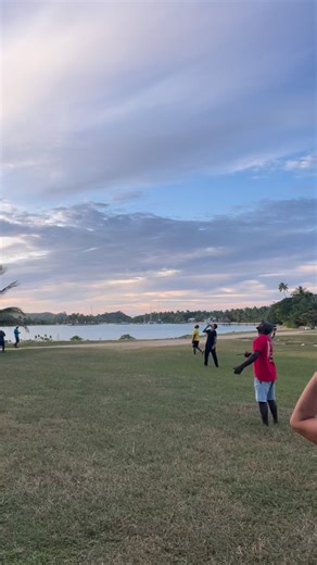 Swooping the palm trees in Fiji 🌴 @flyjyro #64petra | Austin Bradley Ernst
