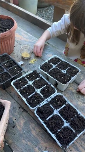 Tutto parte dalle Terra 🌿 #wildlife #earth #agriculturefarming #nature #farmlife