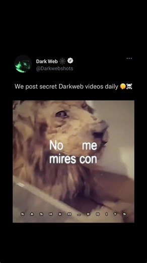 Dark Web Clips on Instagram: "We post darkweb videos daily 🫆"