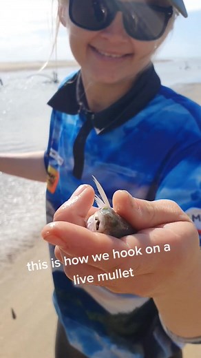 How to Hook Live Mullet for Beach Fishing