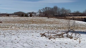 18K views · 579 reactions | We previously did a video of Ben the youngest of our demo team. This is Ty. He’s the second youngest of the team. He’s been doing demos since he was 8 months old so even though he just turned 3 he’s a veteran. He’s one of the best listening dogs I’ve ever had. He can alway be counted on either at home or at a demo. He’s definitely a huge asset to the team. Ty and Ben are half brothers | The Quack Pack USA | Facebook