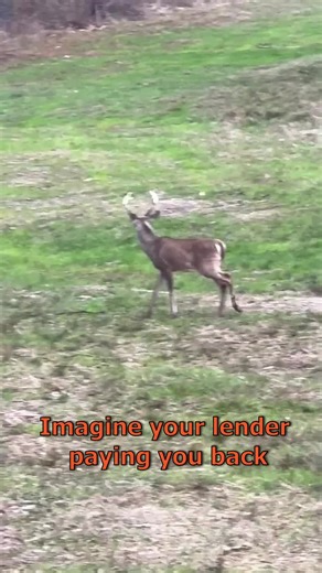 Patronage Refund: How a Co-Op Lender May Pay You Back: What is a patronage refund? With a co-op lender, borrowers are also owner-members, and profits may be shared back through a patronage refund. It is not guaranteed, but it can help reduce the overall cost of borrowing. This clip explains the co-op model and why it matters for landowners. Learn more from First South Farm Credit: firstsouthfarmcredit.com #PatronageRefund #FarmCredit #LandLoans #RuralProperty #LandOwnership #CoOp #CountryLiving