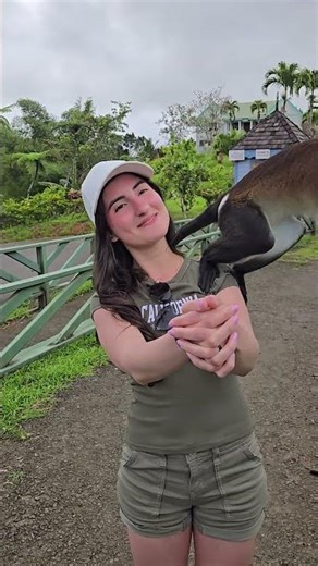 Monkey Time! 🐒🍌 Would you ever do this?! #traveling #monkey #adventure #jungle #tropical