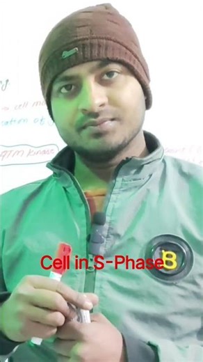 S Phase in 30 Seconds | DNA Replication #chemistry #cellreference #science #cellresearch #cell