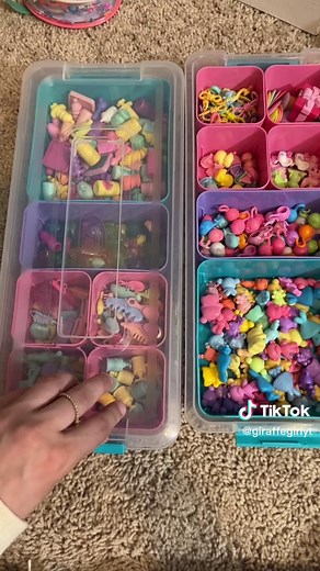 #lps #littlestpetshop #toys #hasbro #littlestpetshopcollection #giraffegirl12345 #toycollector #toy