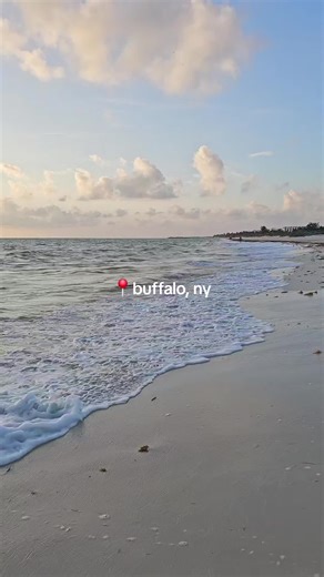 buffalo new york is so pretty this time of year 😍 woodlawn beach 🤣🤣 #buffalonewyork #buffalony