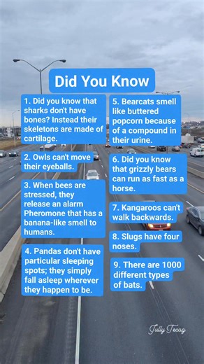 9 Fun Facts About Weird Animals That Will Amaze You. #DidYouKnow #facts #weirdanimals #trendingreel | Jully Tecag