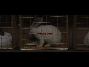 Us (2019) Opening Credit Scene