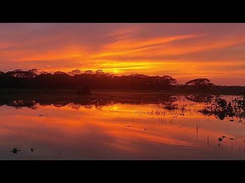 Soft Violin Music (Copyright Free )