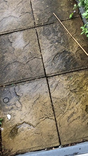 Jet Washing Tips for Cleaning Your Front Yard