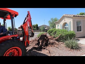 kubota m62 removing a large tree stump with the backhoe