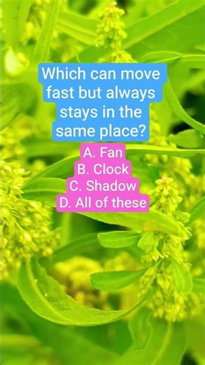 Which can move fast but always stays in the same place?