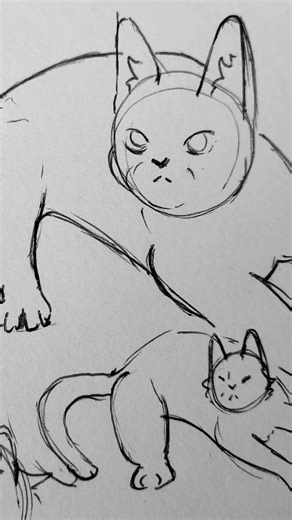 I decided to learn how to draw cats (1-5 I drew from Pinterest references, 6-9 were from my head)