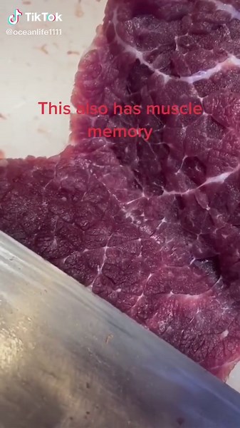 Understanding the Concept of Muscle Memory in Beef Production