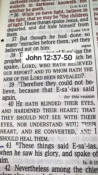 Understanding John 12:37-50 in the Gospel