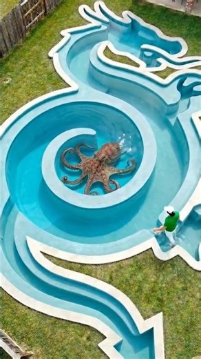 UntitledI Built a Real Dragon Pool at Home 😳✨ #timelapse