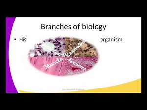 Form1 Biology Lesson 1 Introduction To Bioligy mp4