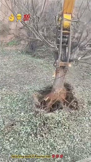 Intelligent excavator remove big tree 🌳