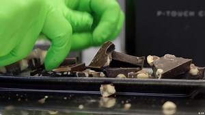 Cocoa and meat made in bioreactors