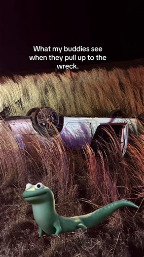 #lizard #geogia #m35spence #v6turbo #Meme | Turbo