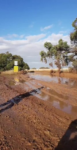 #4wdaustralia #4wding #4wd #prado120 #stray#southaustralia