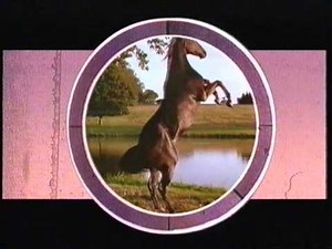 Opening to Animaniacs: Volume 4 UK VHS (1995)