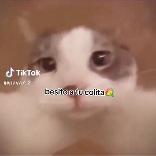 Besitos y Amor: El Trend de Besar en la Cola