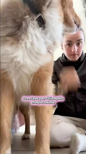 Why don't I wash my dog?
