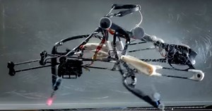 Ce robot bipède adapte son équilibre tout seul et sans être équipé d'ordinateur de bord