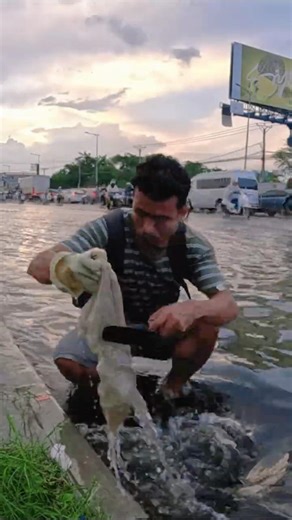 Manual Drain Unblocking to Control Flash Flood #cleaning #shorts #plastic #unclog #flood