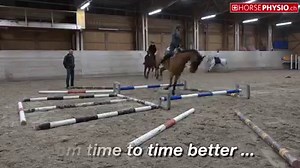 85K views · 1.5K reactions | Poles Training with www.horsephysio.ch | Horsephysio | Facebook