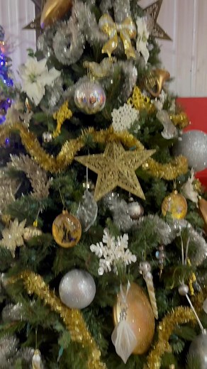Another wonderful festival!! It was so nice to see everyone last night. We enjoyed seeing the smiles on your faces! We hope you had a wonderful time!! Enjoy this virtual walk through the beautifully and creatively decorated trees!! | Frankton Christmas Festival