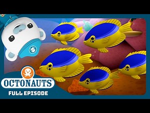 @Octonauts - 🪸 The Greedy Damsel Fish 🐠 | Season 2 | Full Episodes | Cartoons for Kids - Videos For Kids