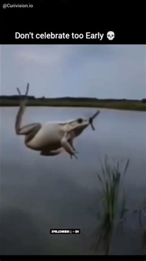 PROBABILITY OF LIFE #life #probability #time #wildlife #animals