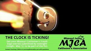 Missouri Cattlemen's Association on Reels