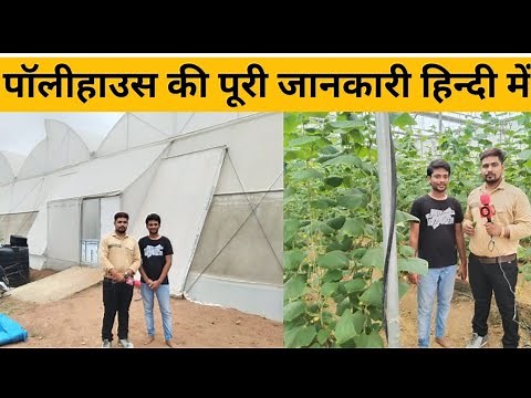 पॉलीहाउस की संपूर्ण जानकारी Polyhouse Subsidy, Cost, Profit | Agri Farming l Kisan Seva