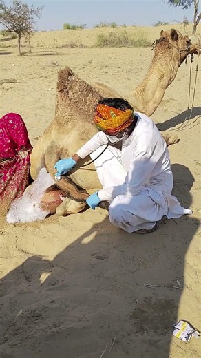 ما سبب هذه الرغوات؟