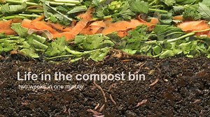 Soil Life in Action: Bioturbation with and without soil fauna