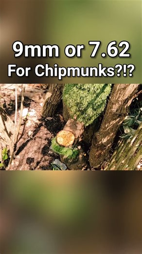 Too much power for a chipmunk?