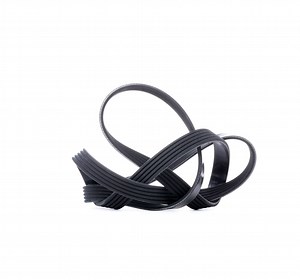 5PK1355 DAYCO 5x1355 Serpentine belt 1355,0mm, 5 | AUTODOC price and review