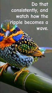 Make the 1% a Huge Impact! You don’t need to have all the answers.You just need 1% every day.