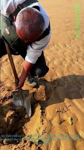 How Fishermen Precisely Dig Razor Clams by Reading Sand Holes • Seafood Foraging Skill