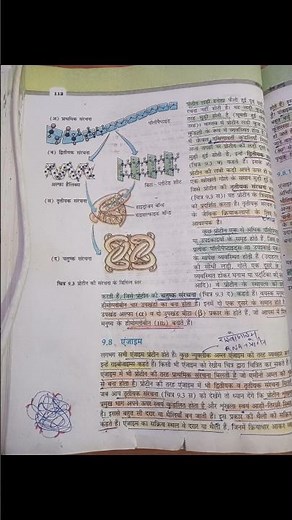 Biomolecules जैव अणु 🔥ncert highlights 🔥#biology #neet #neet2025 #ghibli#ghibliart #ghiblistudio #1m