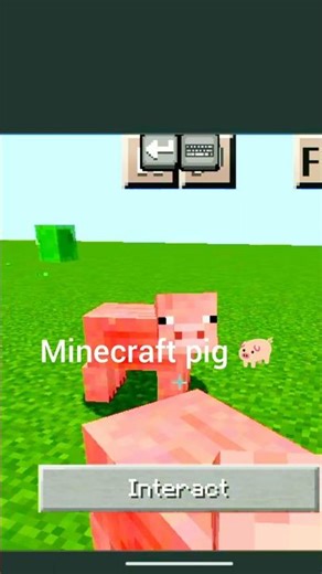 Minecraft's Pig Update is INSANE