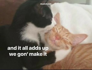 your hug is my safe place 🦋 | 𝙈𝙪𝙨𝙞𝙘𝙢𝙤𝙤𝙙.