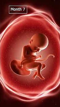 How a Baby Grows in the Womb Month by Month #babydevelopment #pregnancy #shorts